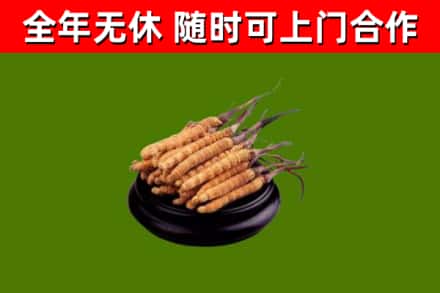 清河烟酒回收冬虫夏草.jpg